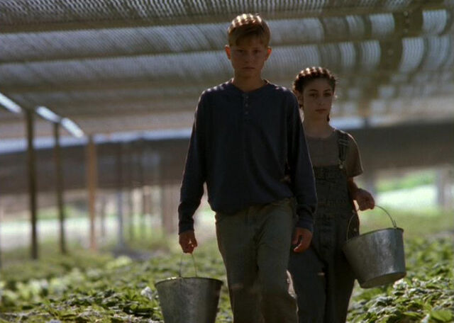 File:Agrarian Drones.jpg