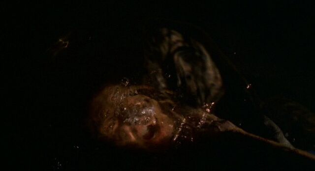 File:CreatureSeesReflection.jpg