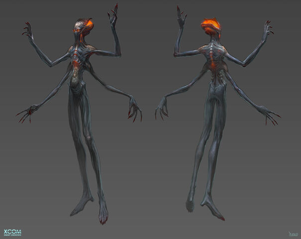 File:Concept - Ethereal4.jpg