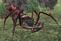 Red antol