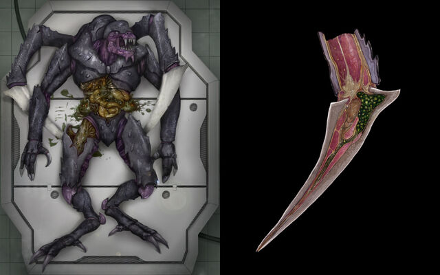 File:Reaperautopsy.jpg