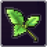 LemonBalm