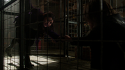 3x16 Belle Gold.png