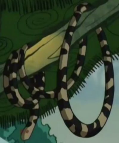 File:Lasso Boa-Boa.png