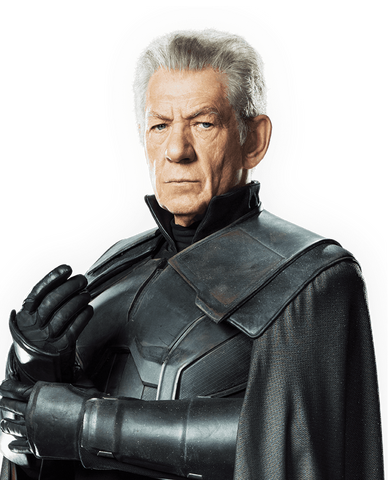 Archivo:Magneto viejo.png