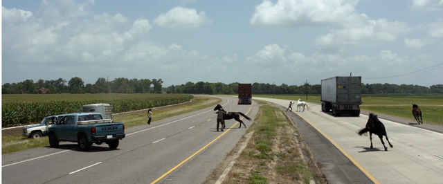 Archivo:Logan 006.png