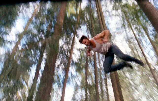 File:WolverineX3Tree.jpg