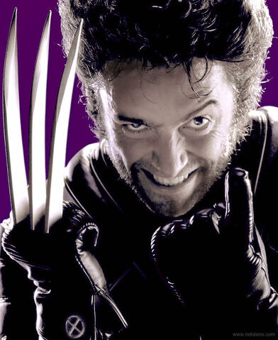 File:Wolverine 18.jpg
