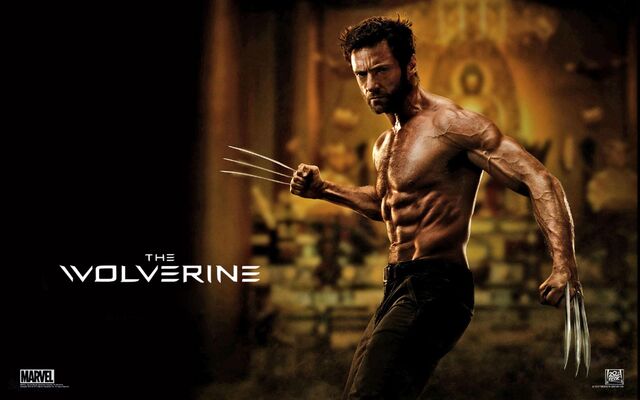 File:2803874-the wolverine 2013 movie wide.jpg