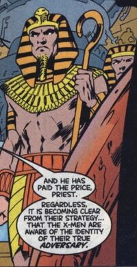ChildrenoftheSunPriest