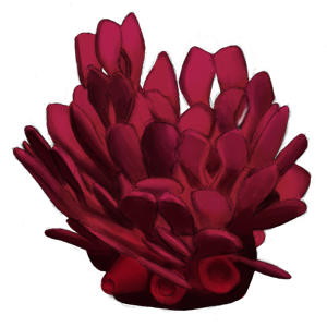 SPC PLANT015 300x300
