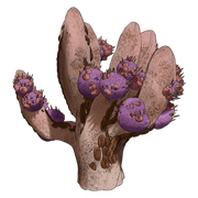 SPC PLANT032 300x300