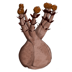SPC PLANT023 300x300