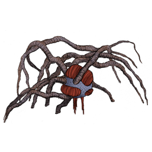SPC PLANT009 300x300