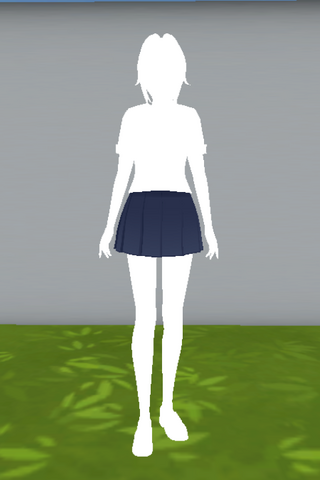 File:FrontSkirt.png