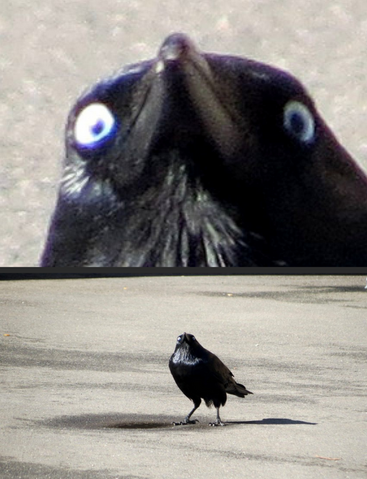 Archivo:A02.png