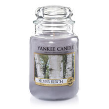 20150210 Silver Birch Lrg Jar yankeecandle com
