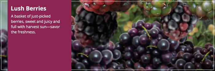 20150827 Lush Berries Banner yankeecandle com