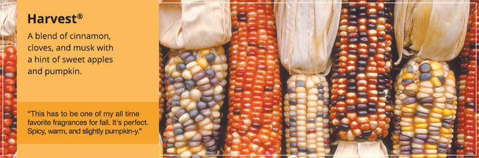 20150906 Harvest Banner yankeecandle com