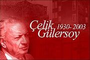 Çelik Gülersoy.jpg