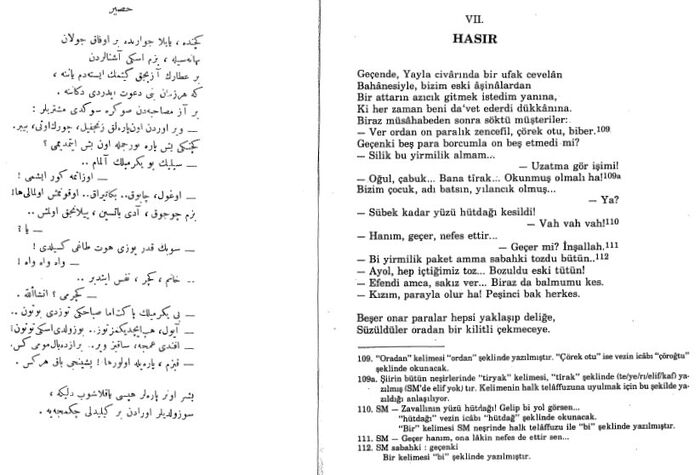 Hasır 1.jpg