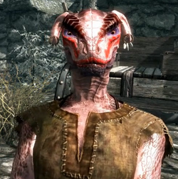 Thelizardwizard1