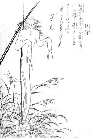File:SekienKyokotsu.jpg