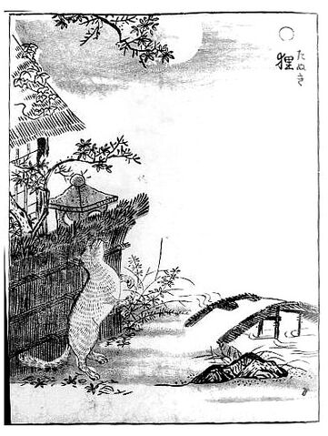 File:Tanuki-sekien.jpg