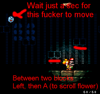 2-4 flower setup