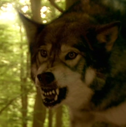 File:Shapeshift.png