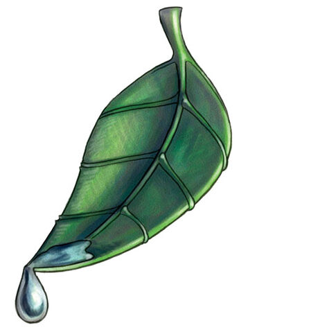 File:Umbarelsymbol.jpg