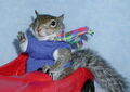 Thumbnail for version as of 23:51, January 16, 2013