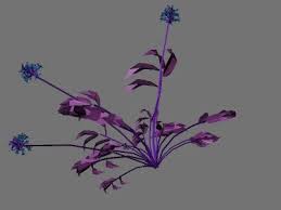 Plant 3
