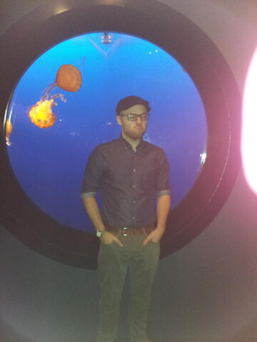 File:Northernlionjellyfish.jpg