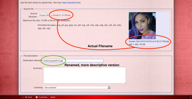 File:Explanatory Picture Renaming.png
