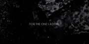 For The One I Adore