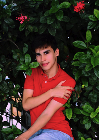 Archivo:LA DIVAZA.png
