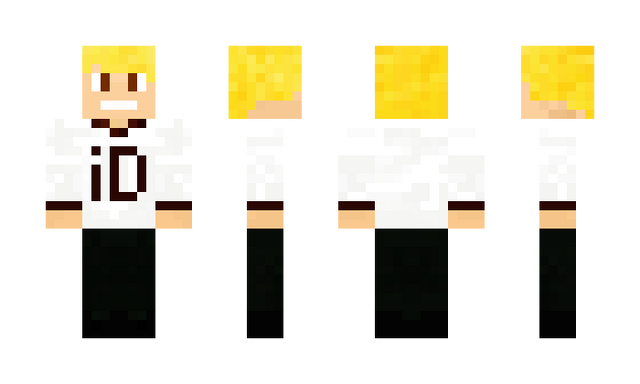 Archivo:Ideactivatemc skin.png