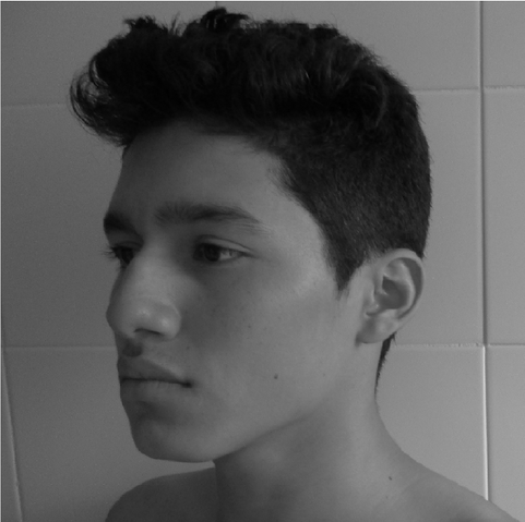Archivo:324.png