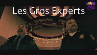 Gros Expert.jpg