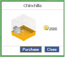 File:Chinchilla.JPG