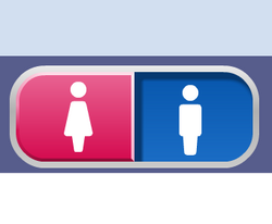 Duogender