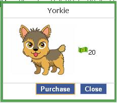 File:Yorkie.JPG
