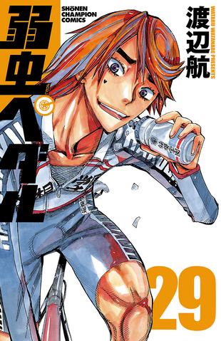 File:Volume 29.png