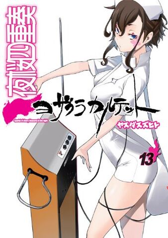 File:YZQ-Volume-13-alt.jpg