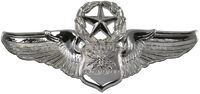 Big-u-usaf-master-navigator-observer-badge-10561