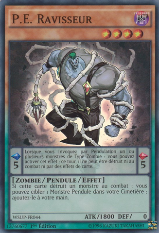 File:PMCaptor-WSUP-FR-SR-1E.png