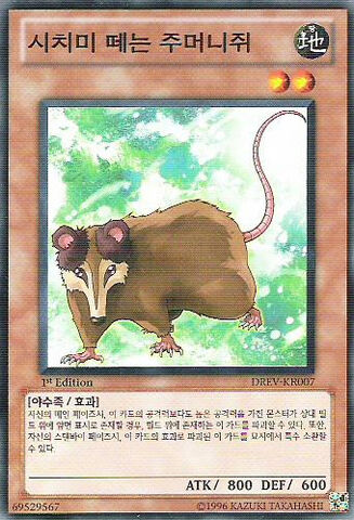 File:PlayfulPossum-DREV-KR-C-1E.jpg