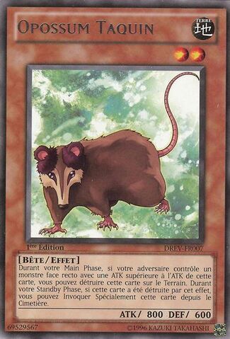 File:PlayfulPossumDREV-FR-R-1E.jpg