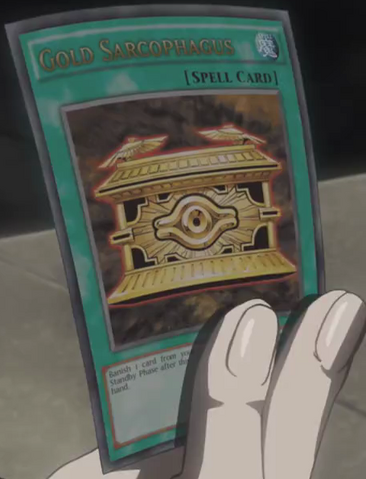 File:GoldSarcophagus-EN-Anime-MOV3.png